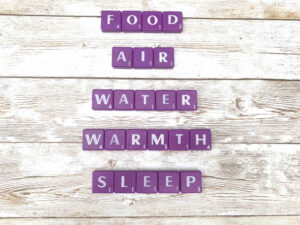 The five basic needs according to Maslow [Image description: purple scrabble tiles spelling "Food, Water, Warmth, and Sleep"] Serve to explain why dietary restriction leads to obsessive food thoughts