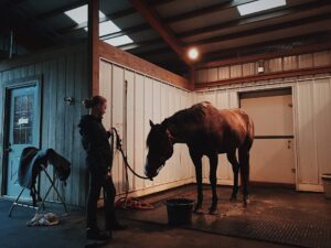 Horseback riding when fat in Los Angeles, California [Image description: photo of a horse and caretaker] Represents a potential horse that could be ridden by a fat person in eating disorder recovery